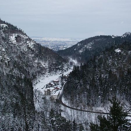 Wohlfuehlzeit Im Zittauer Gebirge公寓 外观 照片